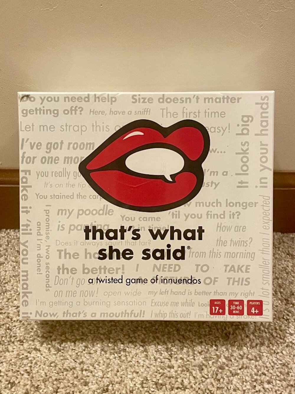 BRAND NEW That's What She Said party game